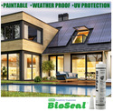 Hybrid Paintable BioSeal Silicone Sealant Caulk Waterproof 10.1 oz -Window, Door, Glass